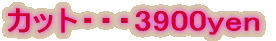 �J�b�g�E�E�E3900yen