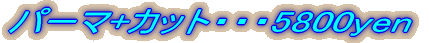 �p�[�}+�J�b�g�E�E�E5400yen