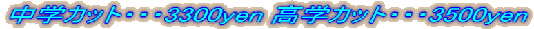 ���w�J�b�g�E�E�E3300yen ���w�J�b�g�E�E�E3500yen