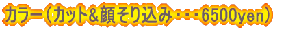 �J���[�i�J�b�g&�炻�荞�݁E�E�E6500yen)