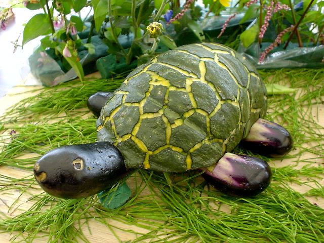 ��؂̌|�p�A�������