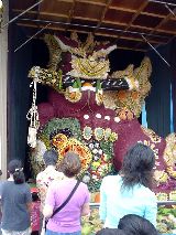 ���L�ʎ��q