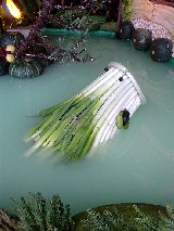 ����̃A�b�v