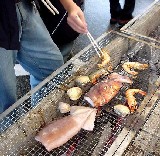 �C�J����A�G�r����